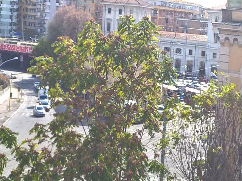 Elegance Scalini Di Trastevere 罗马 外观 照片